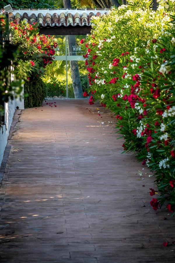 Marbella Banus Suites - Bird Of Paradise Playas Del Duque Banus Suite Apartment Buitenkant foto